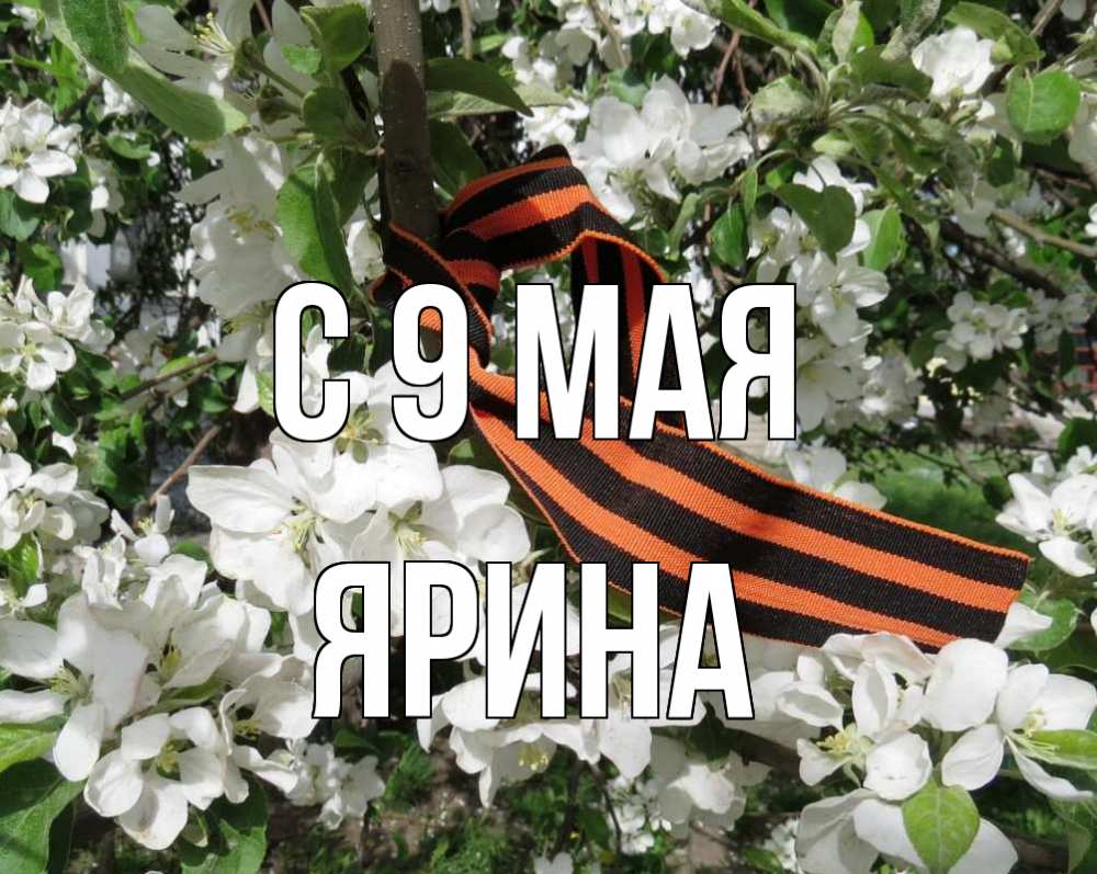 Открытка на каждый день с именем, Ярина С 9 мая 9 мая Прикольная открытка с пожеланием онлайн скачать бесплатно 