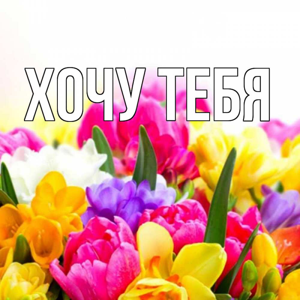 Открытка на каждый день с именем, Хочу-тебя Главная тюльпаны Прикольная открытка с пожеланием онлайн скачать бесплатно 
