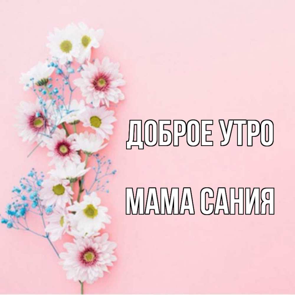 Открытка на каждый день с именем, Мама-Сания Доброе утро цветы с подписью Прикольная открытка с пожеланием онлайн скачать бесплатно 