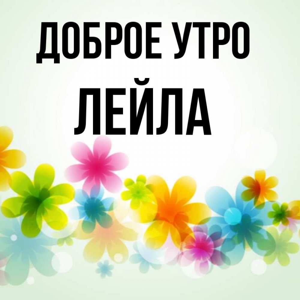 Кактусов, открытки зайка моя с добрым утром