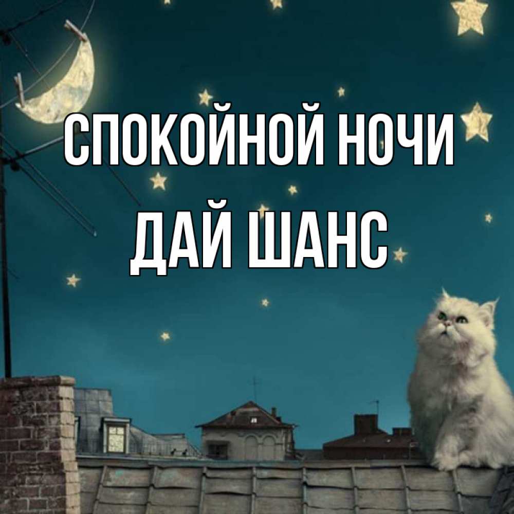Кто давать ночь
