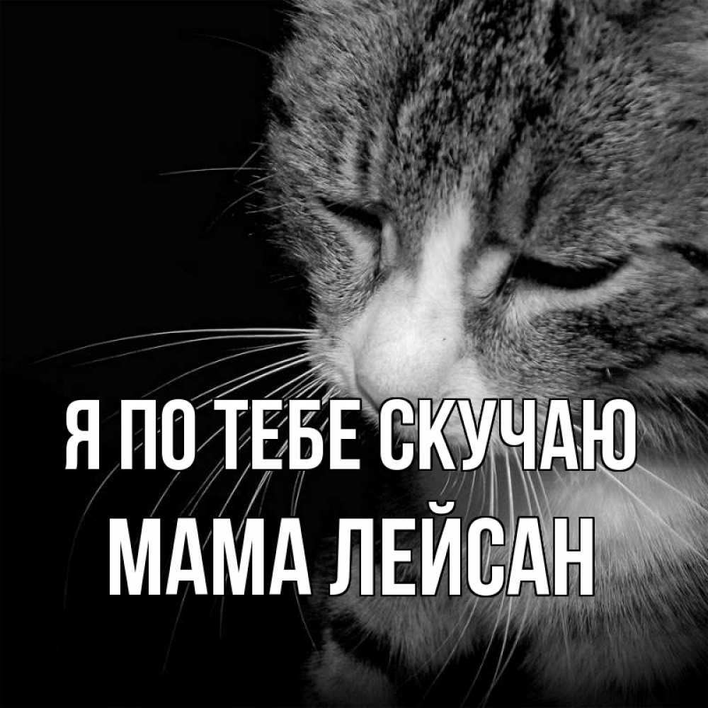 Открытка на каждый день с именем, Мама-Лейсан Я по тебе скучаю мне скучно Прикольная открытка с пожеланием онлайн скачать бесплатно 