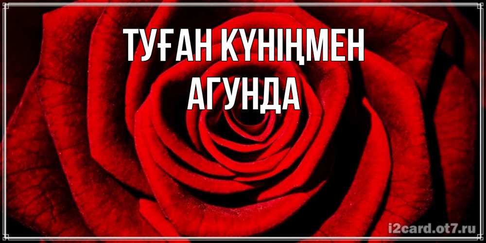 Открытка на каждый день с именем, Агунда Туған күніңмен алая роза Прикольная открытка с пожеланием онлайн скачать бесплатно 