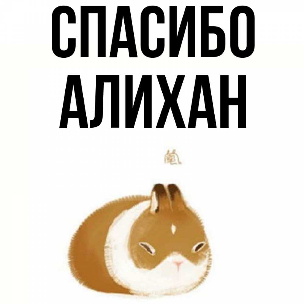 Открытка на каждый день с именем, Алихан Спасибо коричнево белый домашний питомец Прикольная открытка с пожеланием онлайн скачать бесплатно 