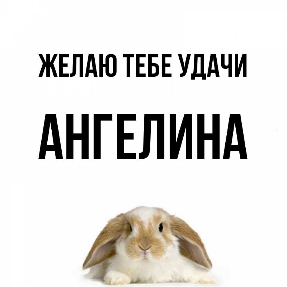 Открытка на каждый день с именем, Ангелина Желаю тебе удачи открытки с произвольным текстом который можно вставить в открытку и создать ее самостоятельно бесплатно онлайн Прикольная открытка с пожеланием онлайн скачать бесплатно 