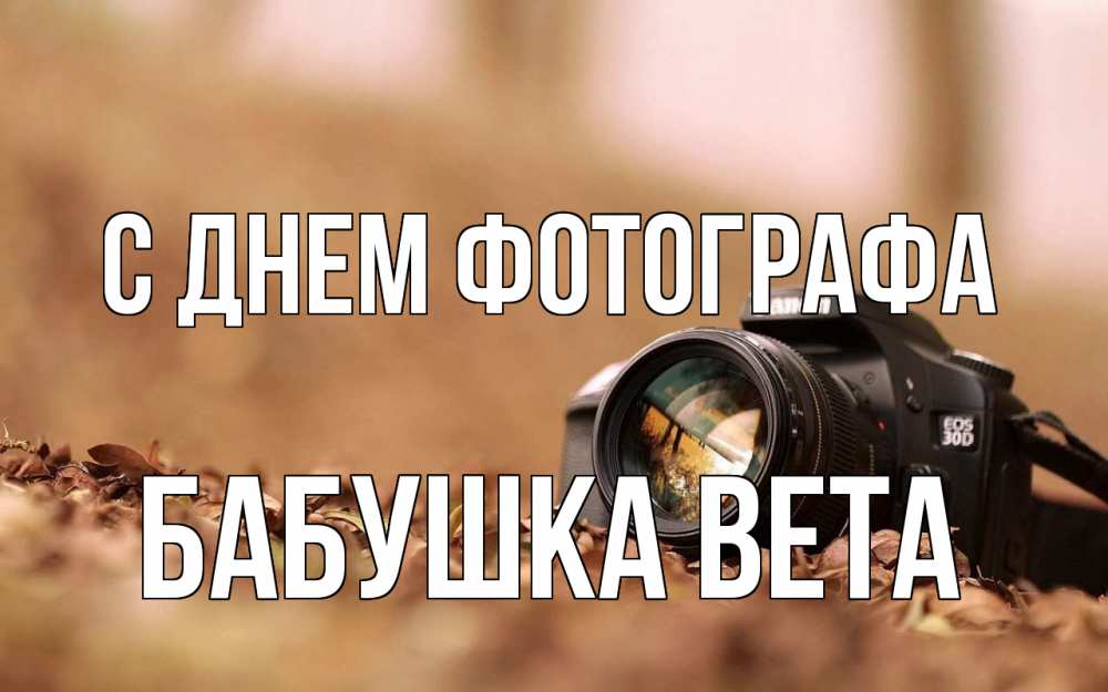 Открытка на каждый день с именем, Бабушка-Вета С днем фотографа с днем фотографа Прикольная открытка с пожеланием онлайн скачать бесплатно 