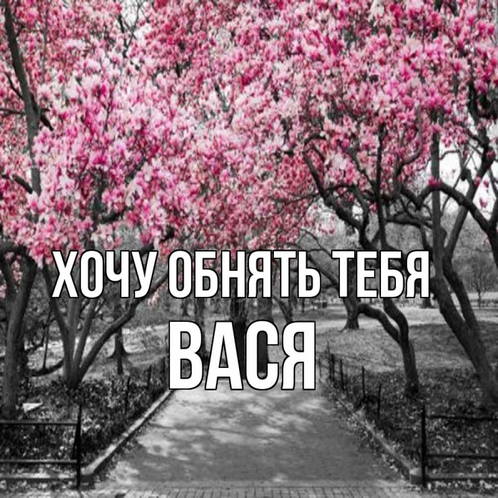 Открытка на каждый день с именем, Вася Хочу обнять тебя обработанное фото Прикольная открытка с пожеланием онлайн скачать бесплатно 