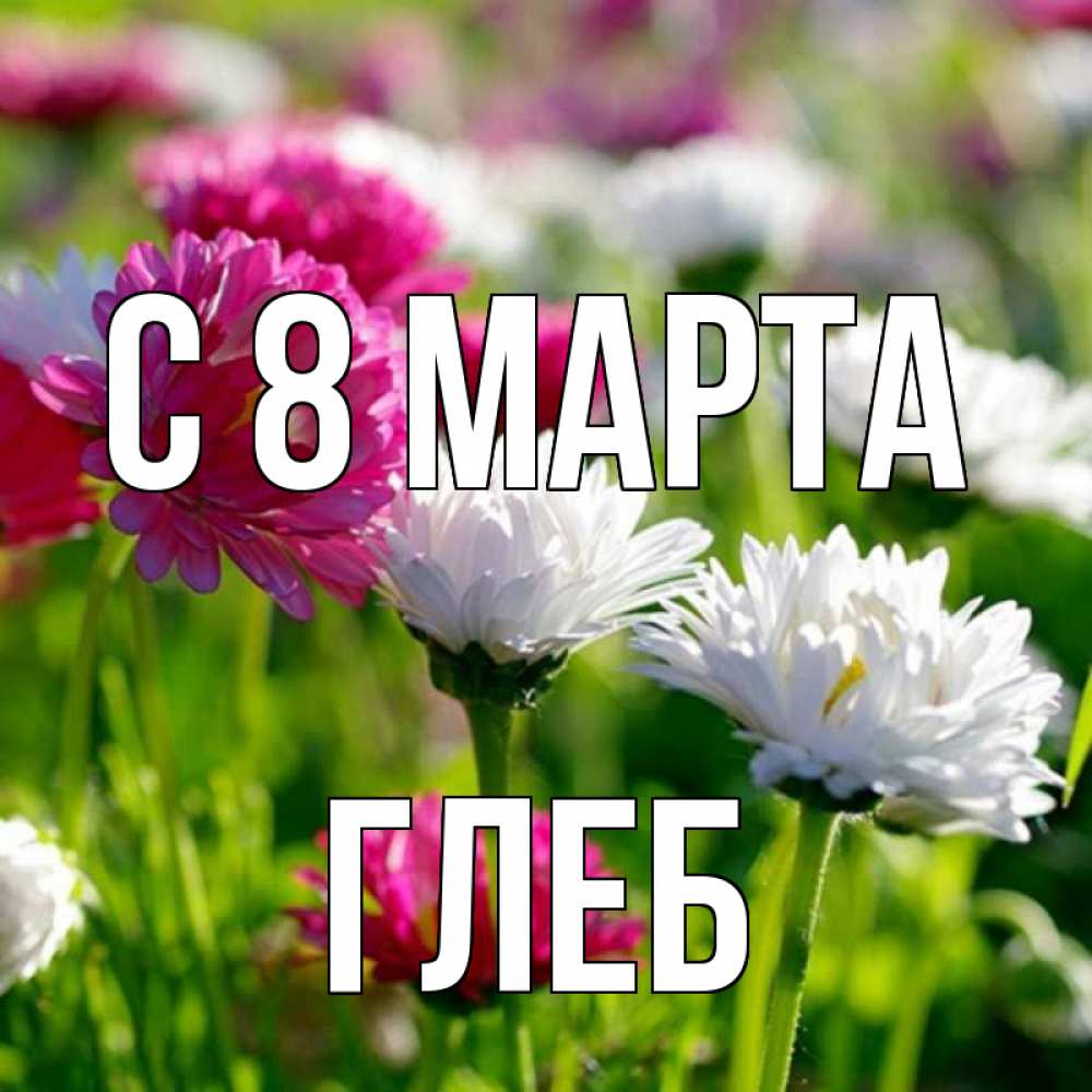 Открытка на каждый день с именем, Глеб С 8 МАРТА международный женский день 1 Прикольная открытка с пожеланием онлайн скачать бесплатно 