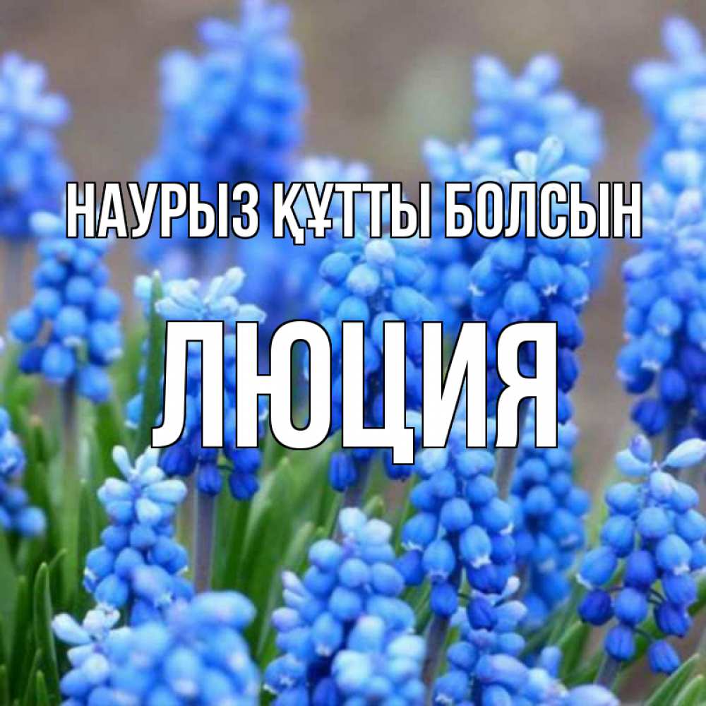 Открытка на каждый день с именем, Люция Наурыз құтты болсын Поздравительная открытка для женщин с цветами на праздничную дату Прикольная открытка с пожеланием онлайн скачать бесплатно 