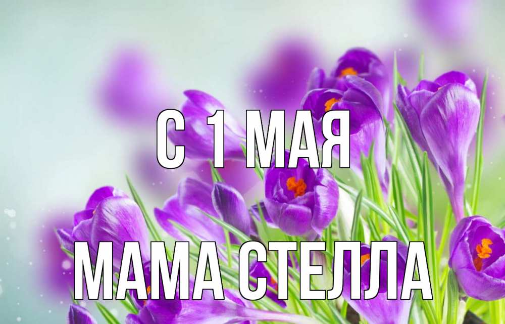 Открытка на каждый день с именем, Мама-Стелла С 1 мая 1 мая Прикольная открытка с пожеланием онлайн скачать бесплатно 