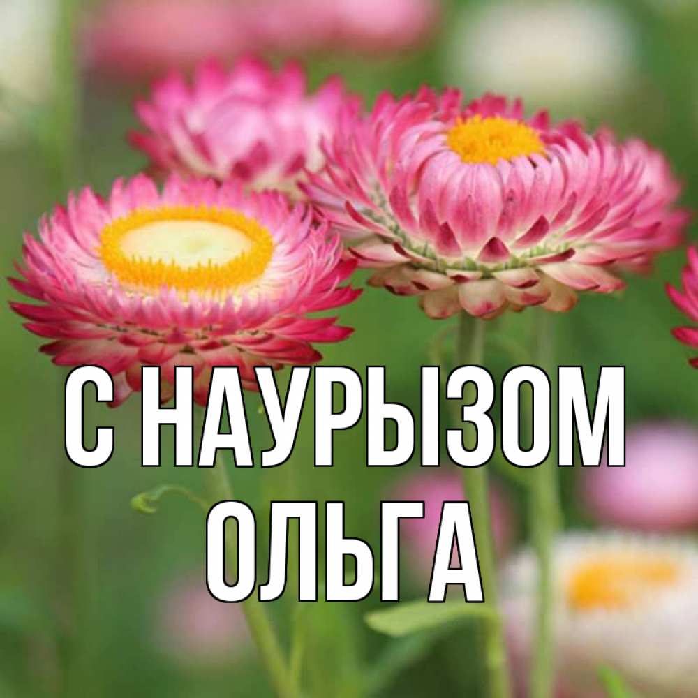 Открытка на каждый день с именем, Ольга С наурызом подарок на международный женский день Прикольная открытка с пожеланием онлайн скачать бесплатно 