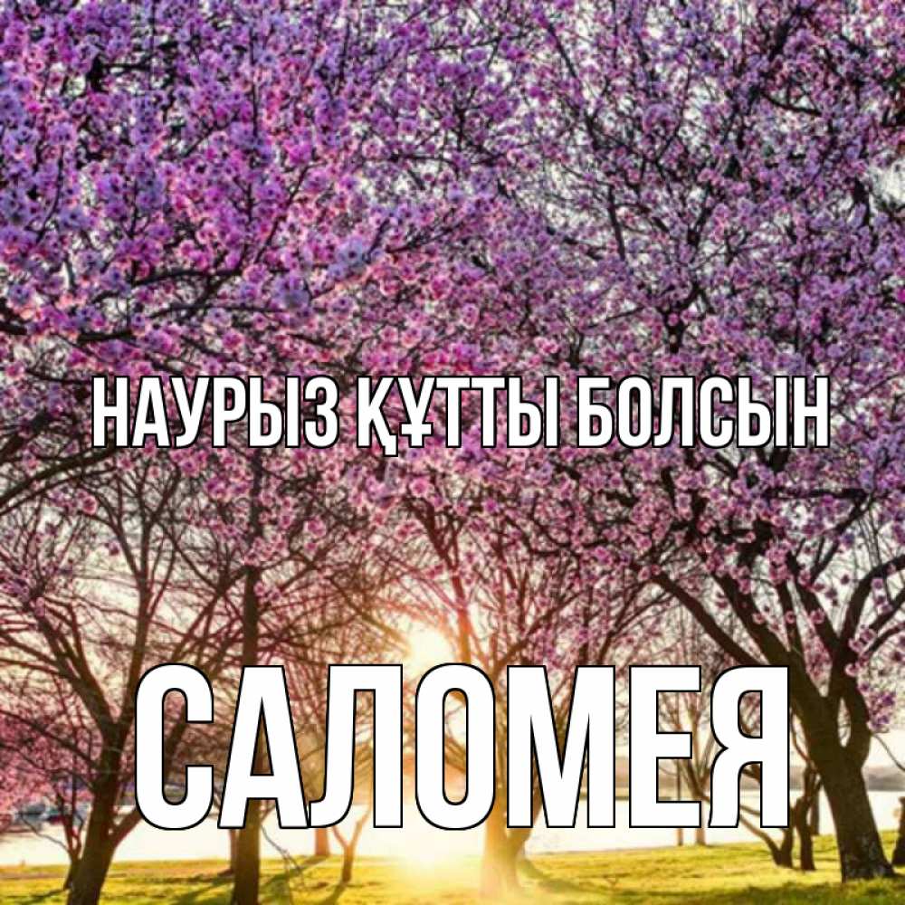 Открытка на каждый день с именем, Саломея Наурыз құтты болсын наурыз Прикольная открытка с пожеланием онлайн скачать бесплатно 