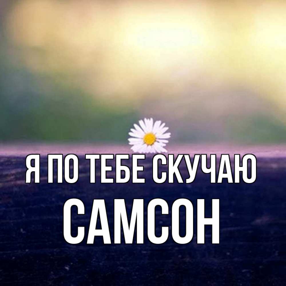 Открытка на каждый день с именем, Самсон Я по тебе скучаю приходи в гости Прикольная открытка с пожеланием онлайн скачать бесплатно 