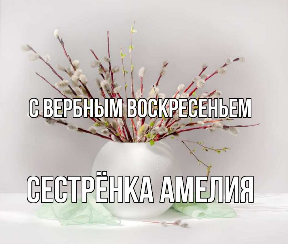 Открытка на каждый день с именем, Сестрёнка-Амелия С вербным воскресеньем верба Прикольная открытка с пожеланием онлайн скачать бесплатно 