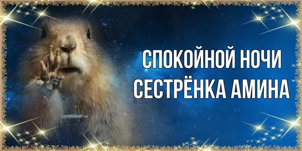Открытка на каждый день с именем, Сестрёнка-Амина Спокойной ночи спокойной ночи сладких снов Прикольная открытка с пожеланием онлайн скачать бесплатно 