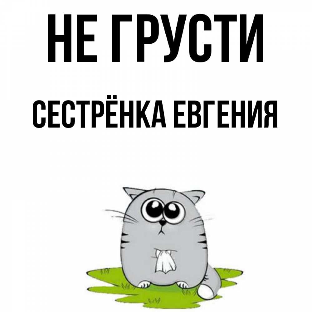 Открытка на каждый день с именем, Сестрёнка-Евгения Не грусти грустный котяра Прикольная открытка с пожеланием онлайн скачать бесплатно 
