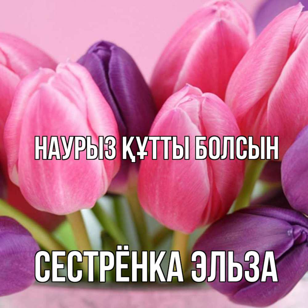 Открытка на каждый день с именем, Сестрёнка-Эльза Наурыз құтты болсын маме 1 Прикольная открытка с пожеланием онлайн скачать бесплатно 