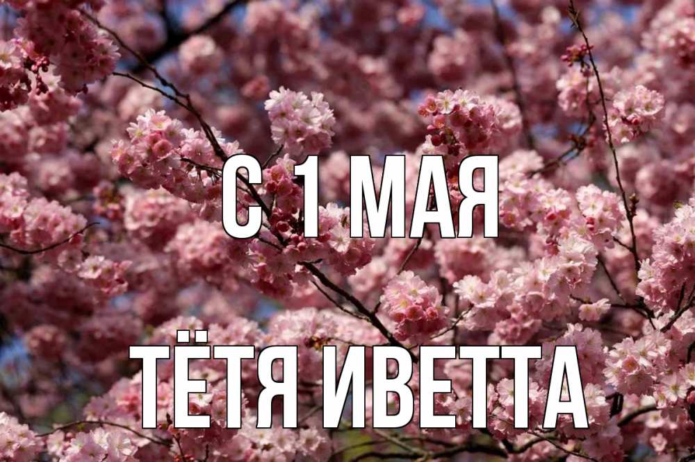 Открытка на каждый день с именем, Тётя-Иветта С 1 мая С 1 мая Прикольная открытка с пожеланием онлайн скачать бесплатно 
