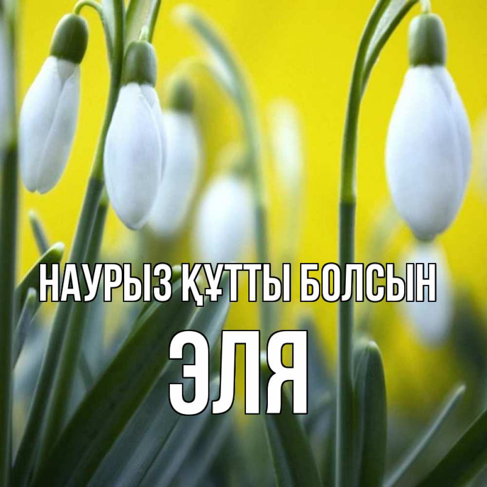 Открытка на каждый день с именем, Эля Наурыз құтты болсын весенние цветы Прикольная открытка с пожеланием онлайн скачать бесплатно 