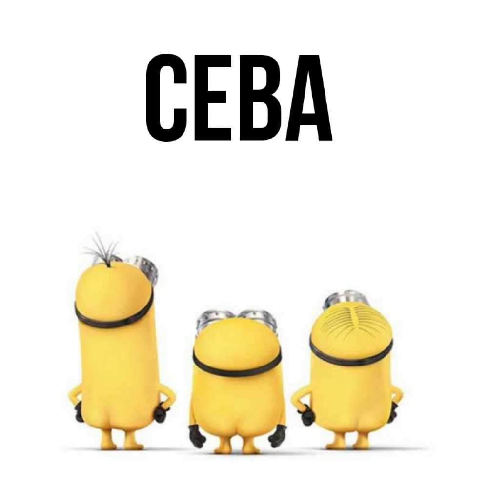 Имя сева