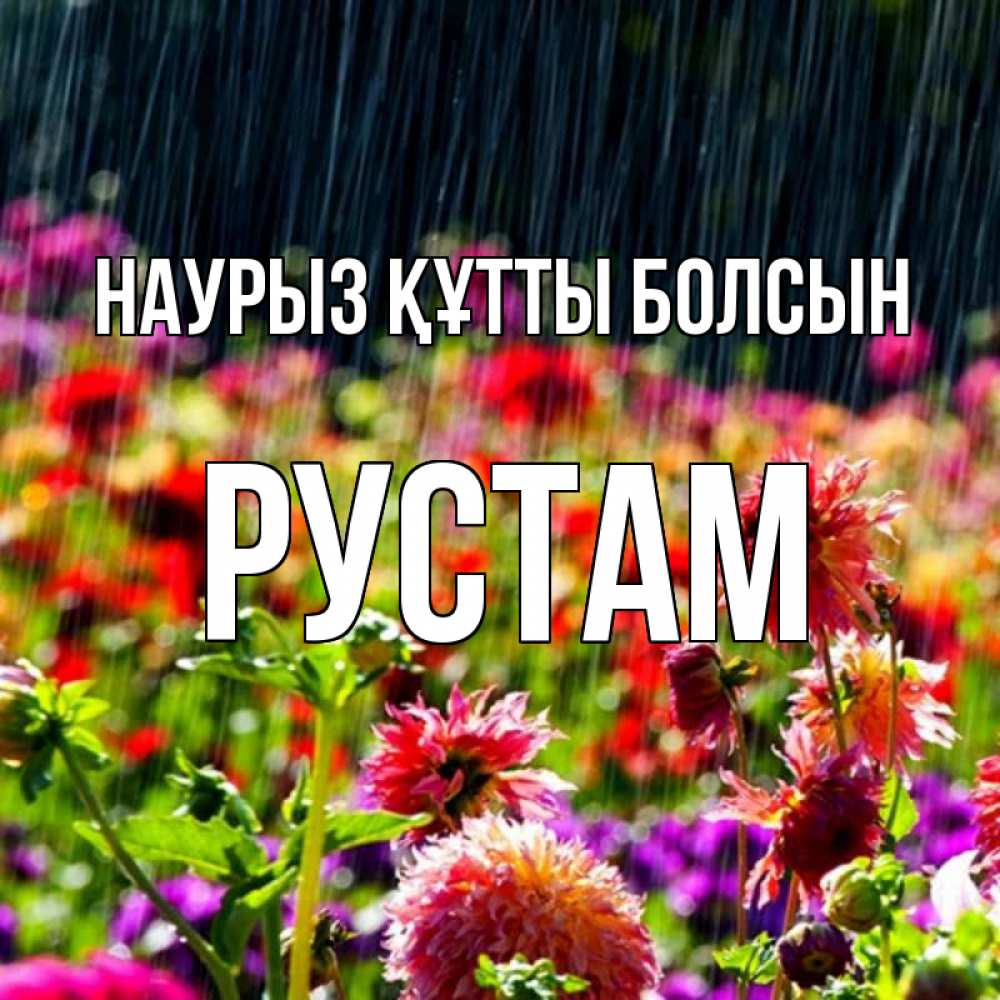 Открытка на каждый день с именем, Рустам Наурыз құтты болсын цветы под дождиком к наурызу Прикольная открытка с пожеланием онлайн скачать бесплатно 