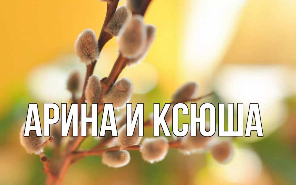 Открытка на каждый день с именем, Арина-и-Ксюша Главная верба Прикольная открытка с пожеланием онлайн скачать бесплатно 