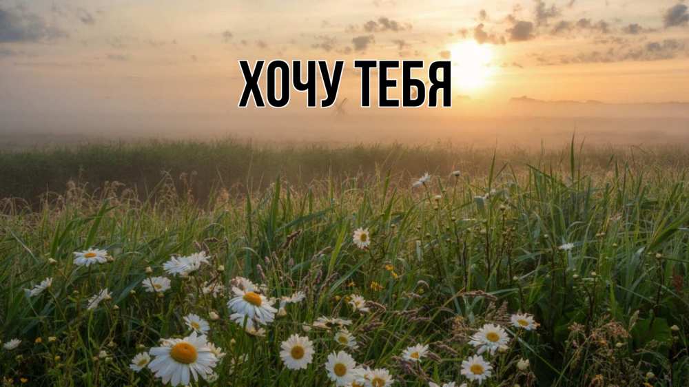 Открытка на каждый день с именем, Хочу-тебя Главная с днем семьи Прикольная открытка с пожеланием онлайн скачать бесплатно 