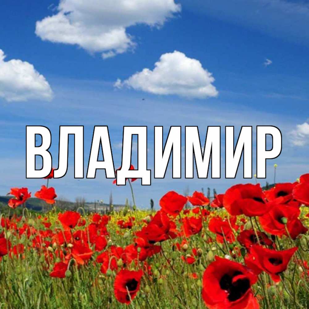 Открытка на каждый день с именем, Владимир Главная международный женский день 1 Прикольная открытка с пожеланием онлайн скачать бесплатно 