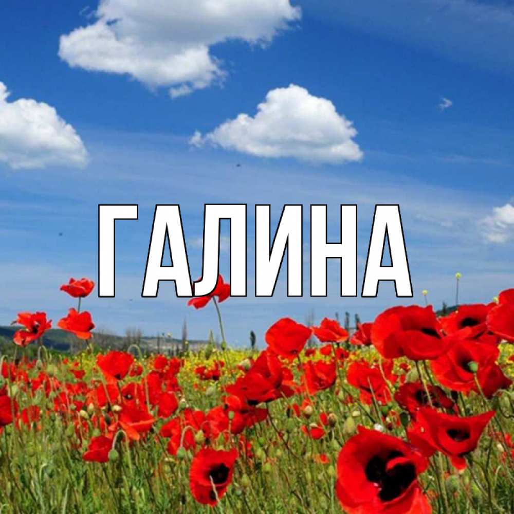 Открытка на каждый день с именем, Галина Главная международный женский день 1 Прикольная открытка с пожеланием онлайн скачать бесплатно 