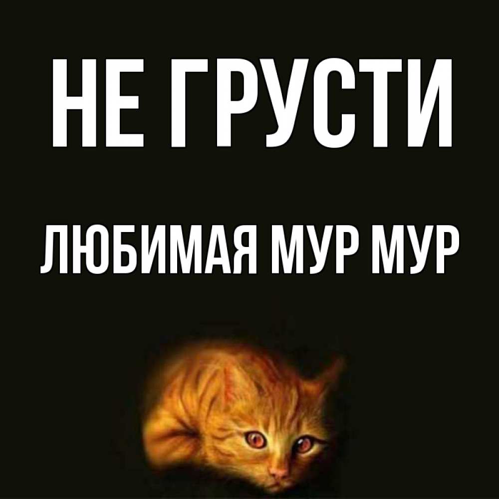 Открытка не грусти я с тобой любимый, февралем прикольные картинки