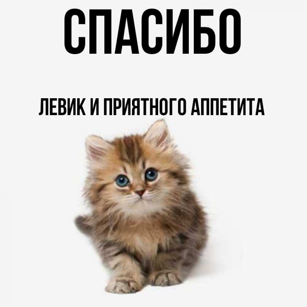 Левик