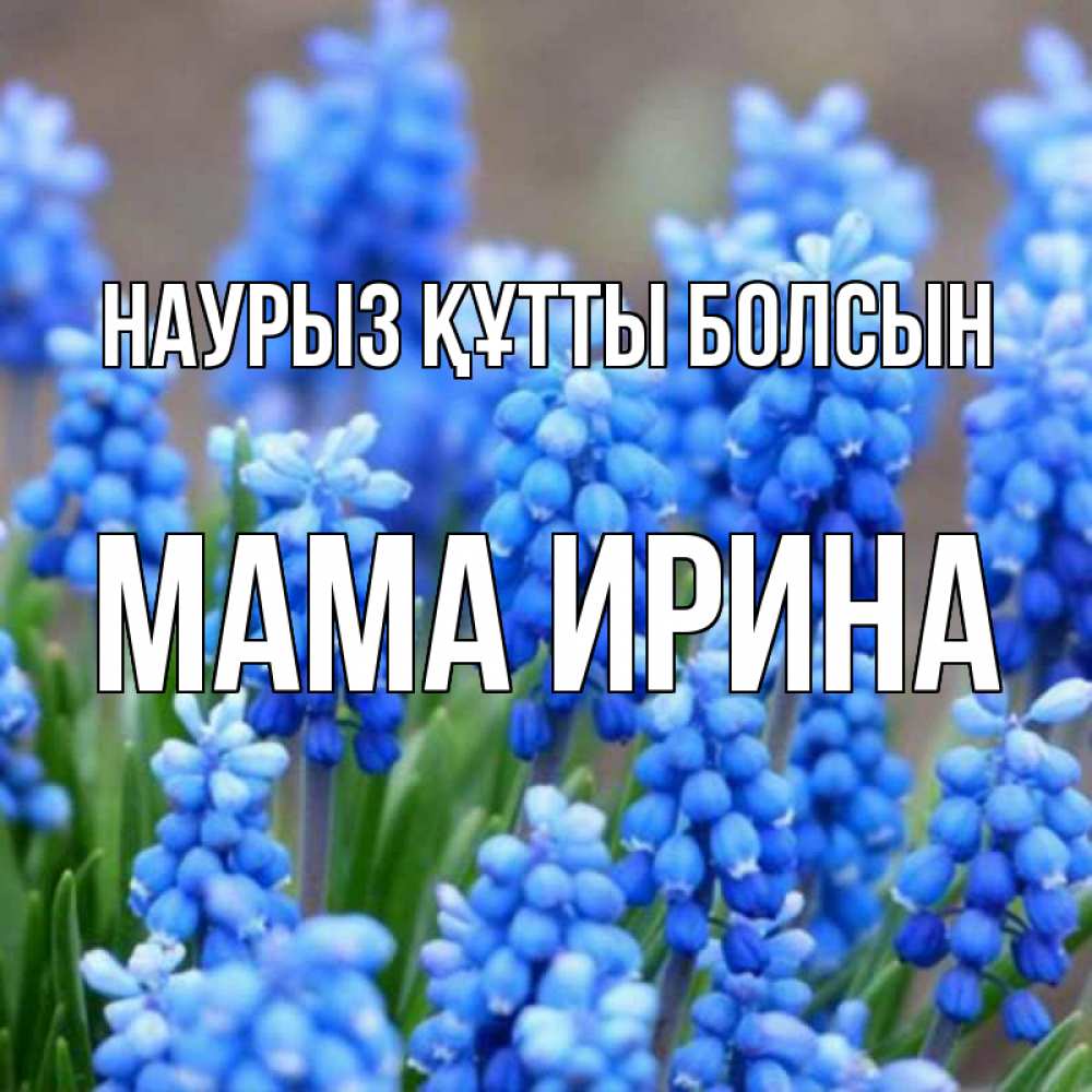 Открытка на каждый день с именем, Мама-Ирина Наурыз құтты болсын Поздравительная открытка для женщин с цветами на праздничную дату Прикольная открытка с пожеланием онлайн скачать бесплатно 