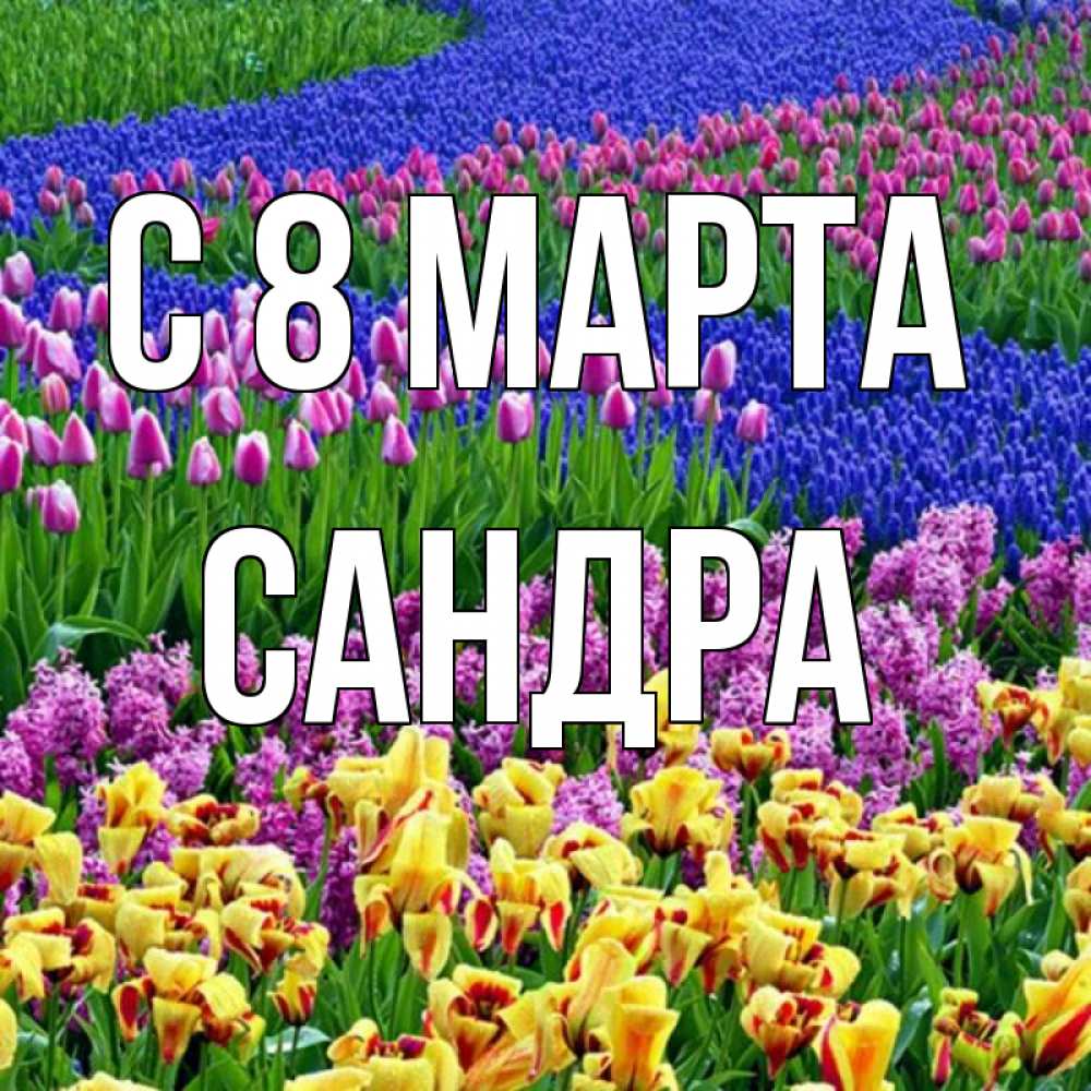 Открытка на каждый день с именем, Сандра С 8 МАРТА цветы Прикольная открытка с пожеланием онлайн скачать бесплатно 
