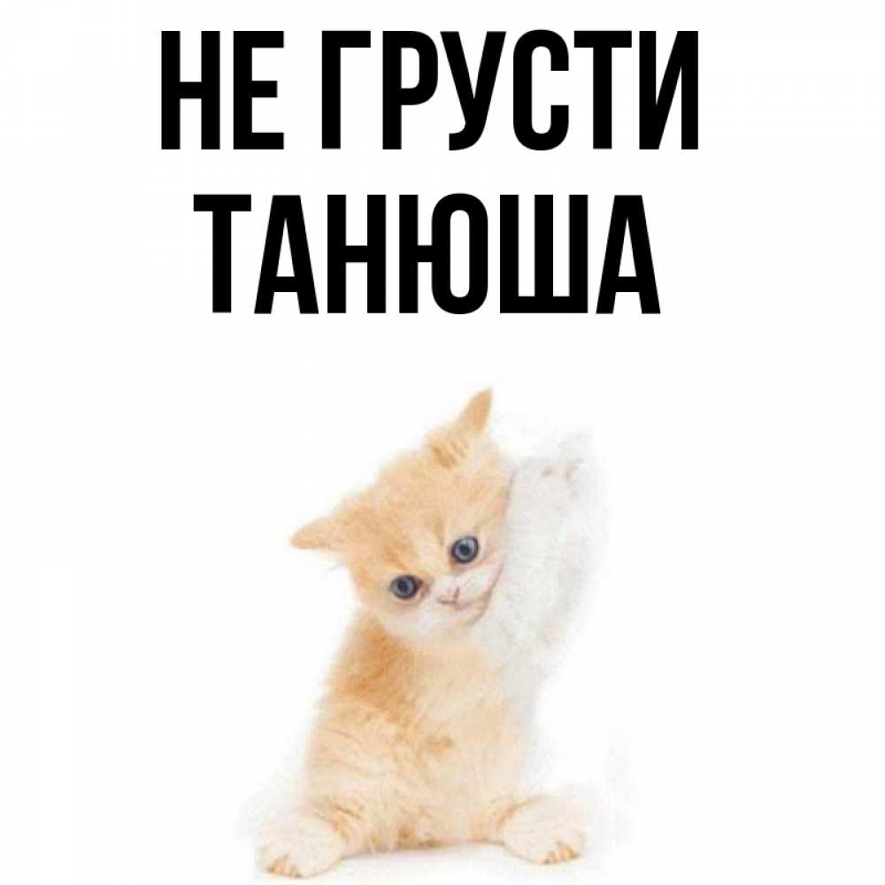 Сашка не грусти картинки