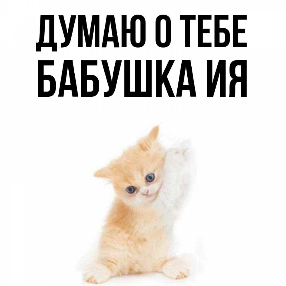Открытка на каждый день с именем, Бабушка-Ия Думаю о тебе зверушки и милота Прикольная открытка с пожеланием онлайн скачать бесплатно 
