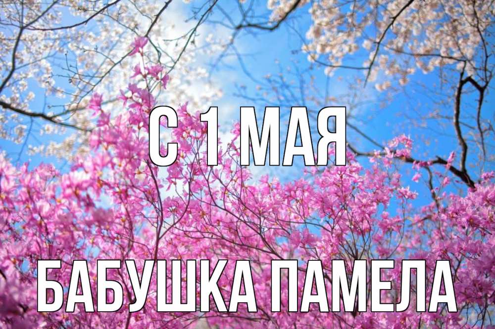 Открытка на каждый день с именем, Бабушка-Памела С 1 мая С 1 мая Прикольная открытка с пожеланием онлайн скачать бесплатно 