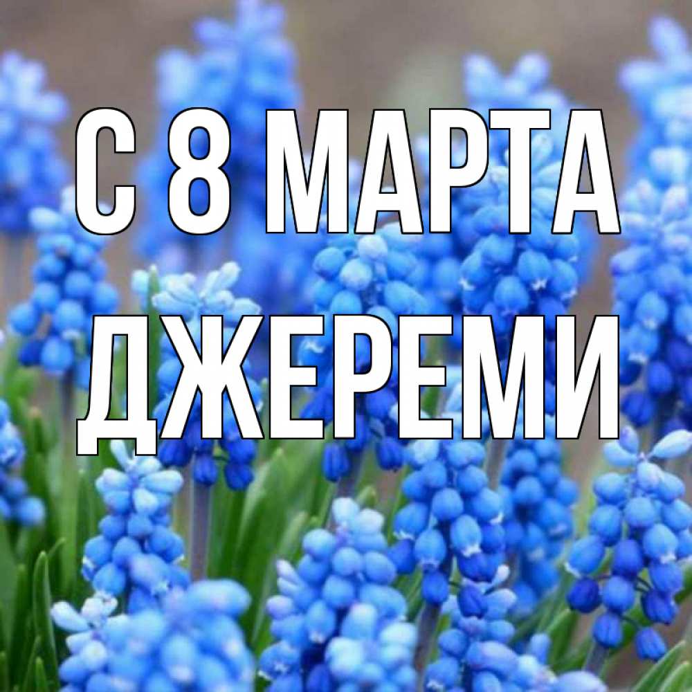 Открытка на каждый день с именем, Джереми С 8 марта Поздравительная открытка для женщин с цветами на праздничную дату Прикольная открытка с пожеланием онлайн скачать бесплатно 