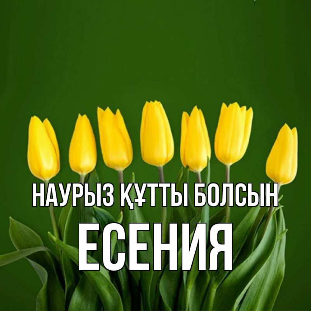 Открытка на каждый день с именем, Есения Наурыз құтты болсын желтого цвета 3 Прикольная открытка с пожеланием онлайн скачать бесплатно 