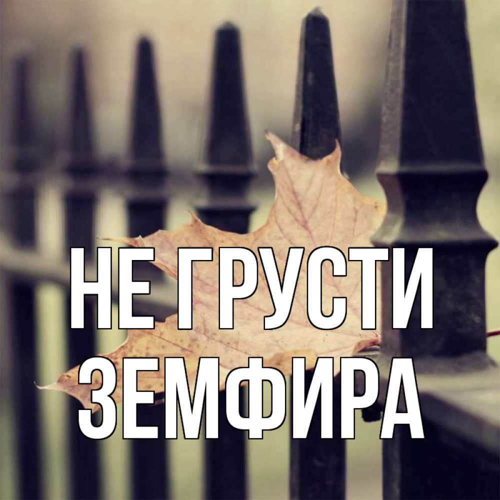 Открытка на каждый день с именем, Земфира Не грусти лист клена Прикольная открытка с пожеланием онлайн скачать бесплатно 