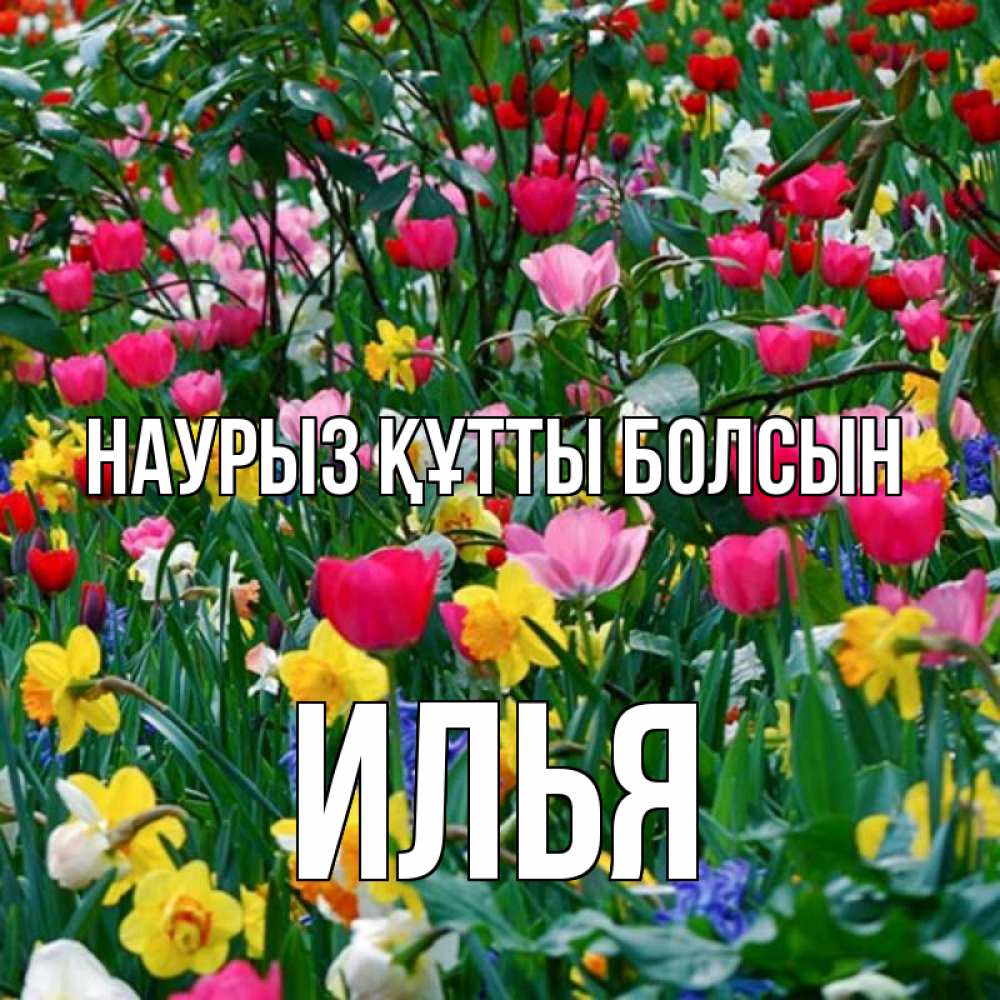 Открытка на каждый день с именем, Илья Наурыз құтты болсын с наурызом поздравления для женщины Прикольная открытка с пожеланием онлайн скачать бесплатно 