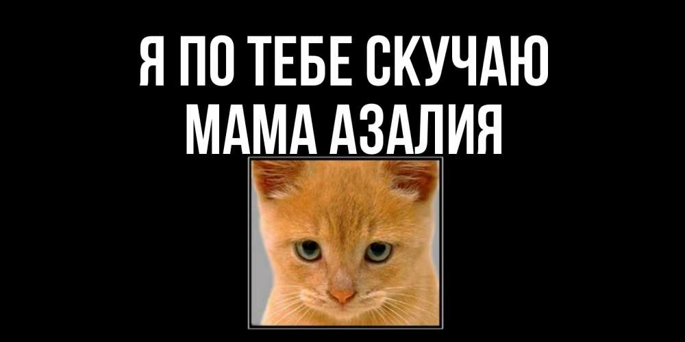 Открытка на каждый день с именем, Мама-Азалия Я по тебе скучаю открытки рыжий котенок скучает по тебе Прикольная открытка с пожеланием онлайн скачать бесплатно 
