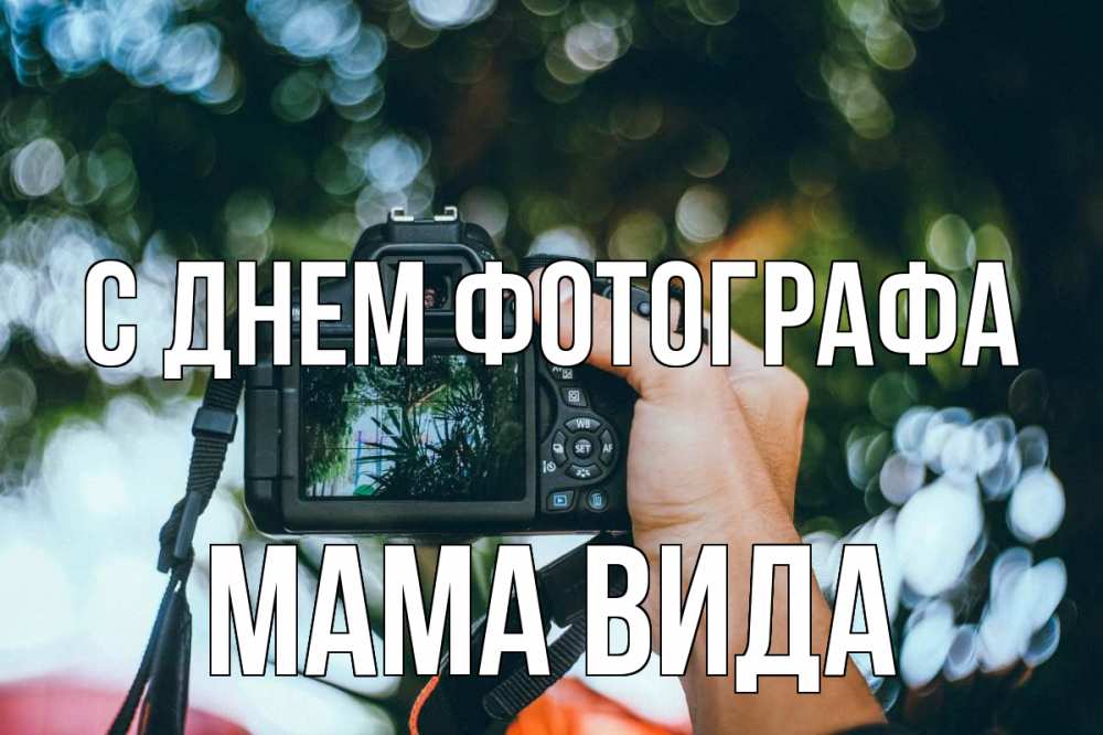 Открытка на каждый день с именем, Мама-Вида С днем фотографа с днем фотографа Прикольная открытка с пожеланием онлайн скачать бесплатно 
