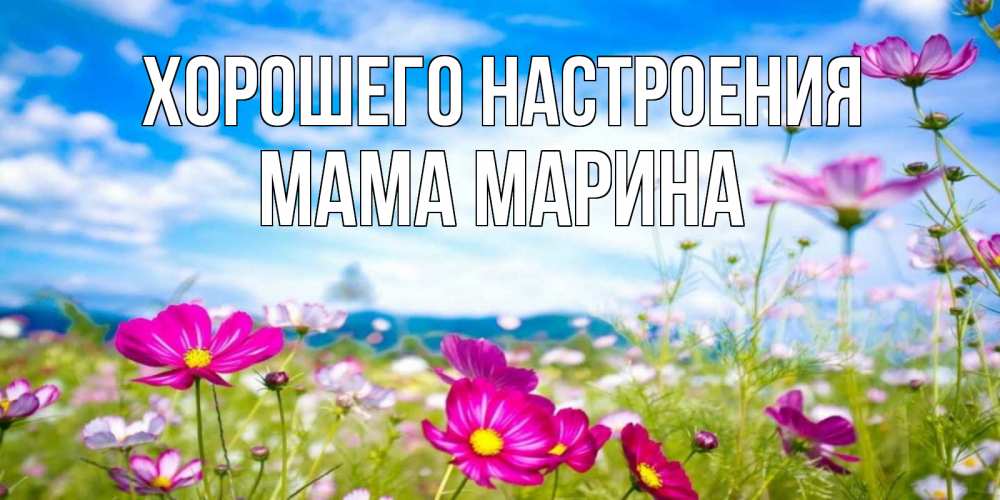 Открытка на каждый день с именем, Мама-Марина Хорошего настроения поле цветов Прикольная открытка с пожеланием онлайн скачать бесплатно 