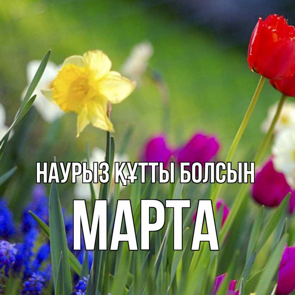 Открытка на каждый день с именем, Марта Наурыз құтты болсын наурыз  3 открытки Прикольная открытка с пожеланием онлайн скачать бесплатно 