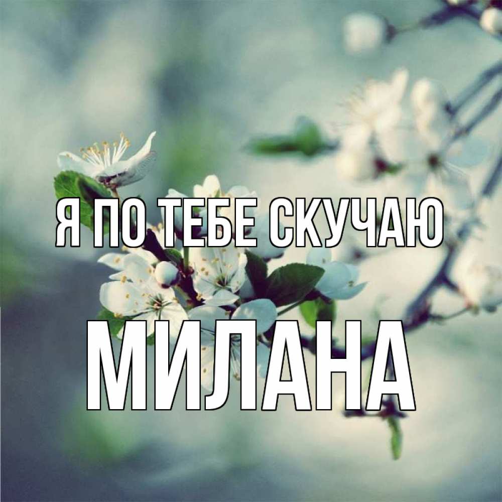 Открытка на каждый день с именем, Милана Я по тебе скучаю весна Прикольная открытка с пожеланием онлайн скачать бесплатно 