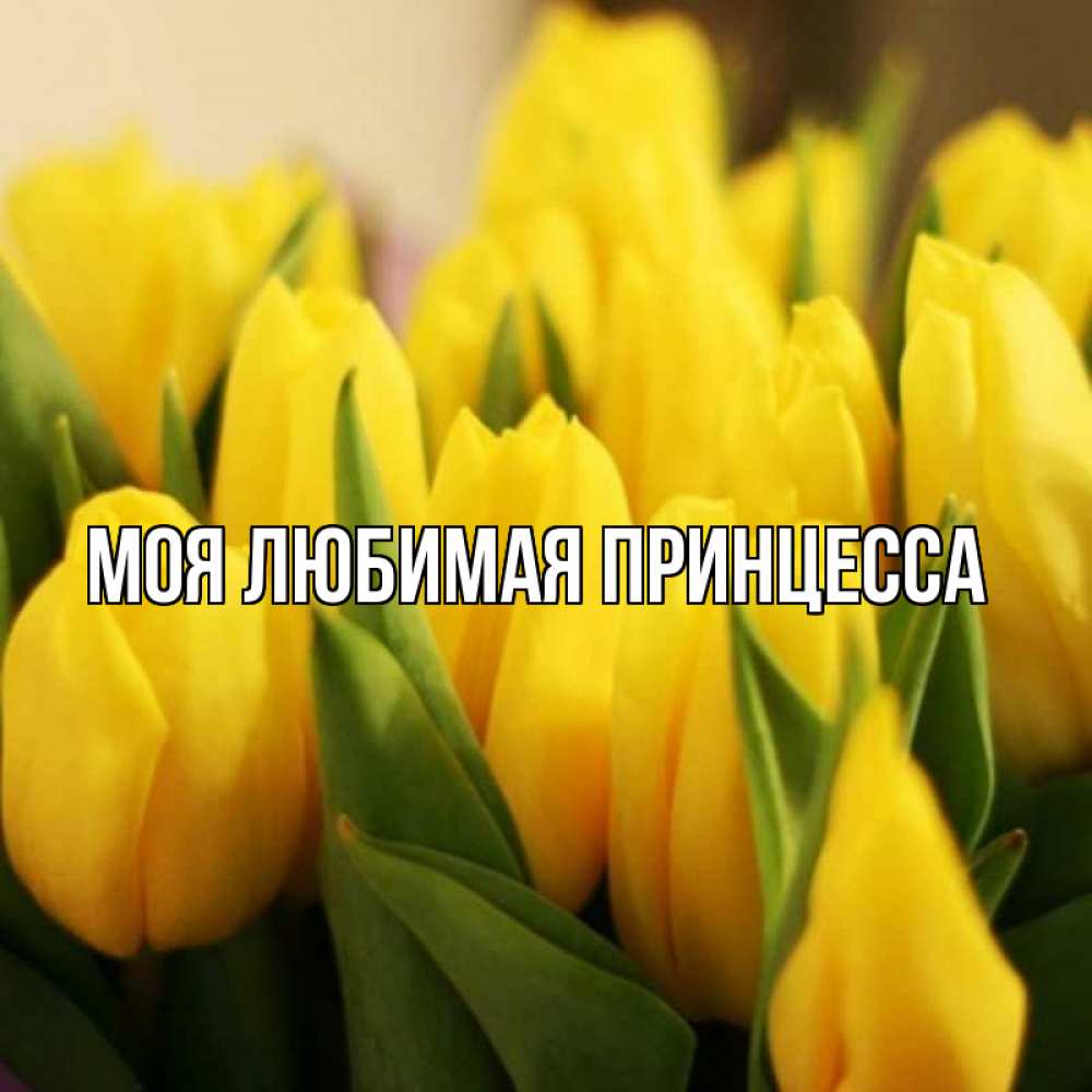 Открытка на каждый день с именем, Моя-Любимая-Принцесса Главная цветы Прикольная открытка с пожеланием онлайн скачать бесплатно 