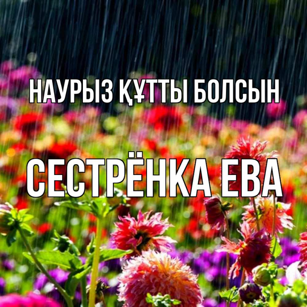 Открытка на каждый день с именем, Сестрёнка-Ева Наурыз құтты болсын цветы под дождиком к наурызу Прикольная открытка с пожеланием онлайн скачать бесплатно 