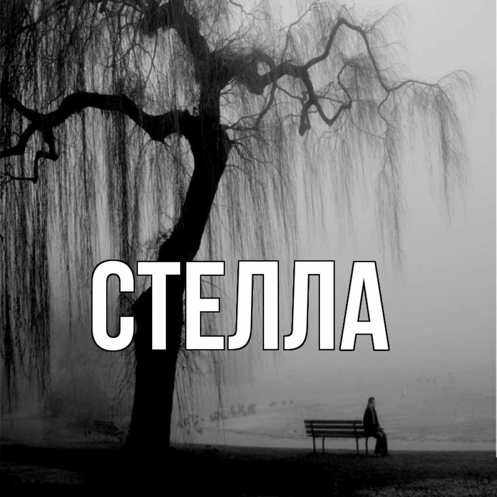 Открытка на каждый день с именем, Стелла Главная лавочка под деревом я жду тебя Прикольная открытка с пожеланием онлайн скачать бесплатно 