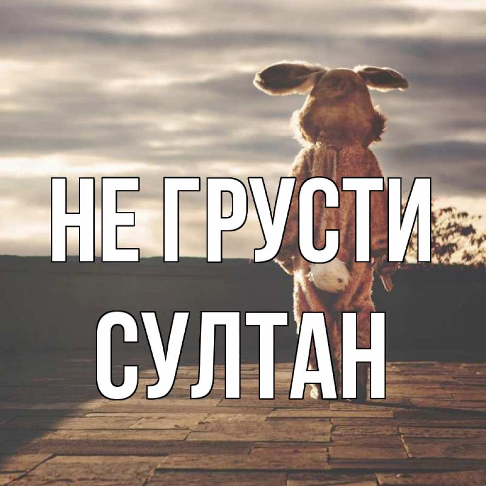 Открытка на каждый день с именем, Султан Не грусти со спины Прикольная открытка с пожеланием онлайн скачать бесплатно 
