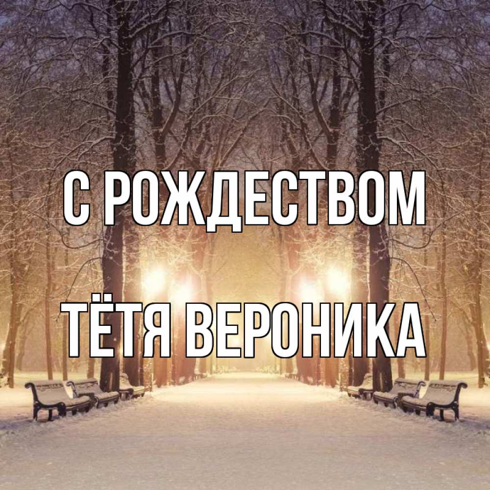 Открытка на каждый день с именем, Тётя-Вероника С рождеством зима, парк, фонарь, лес Прикольная открытка с пожеланием онлайн скачать бесплатно 